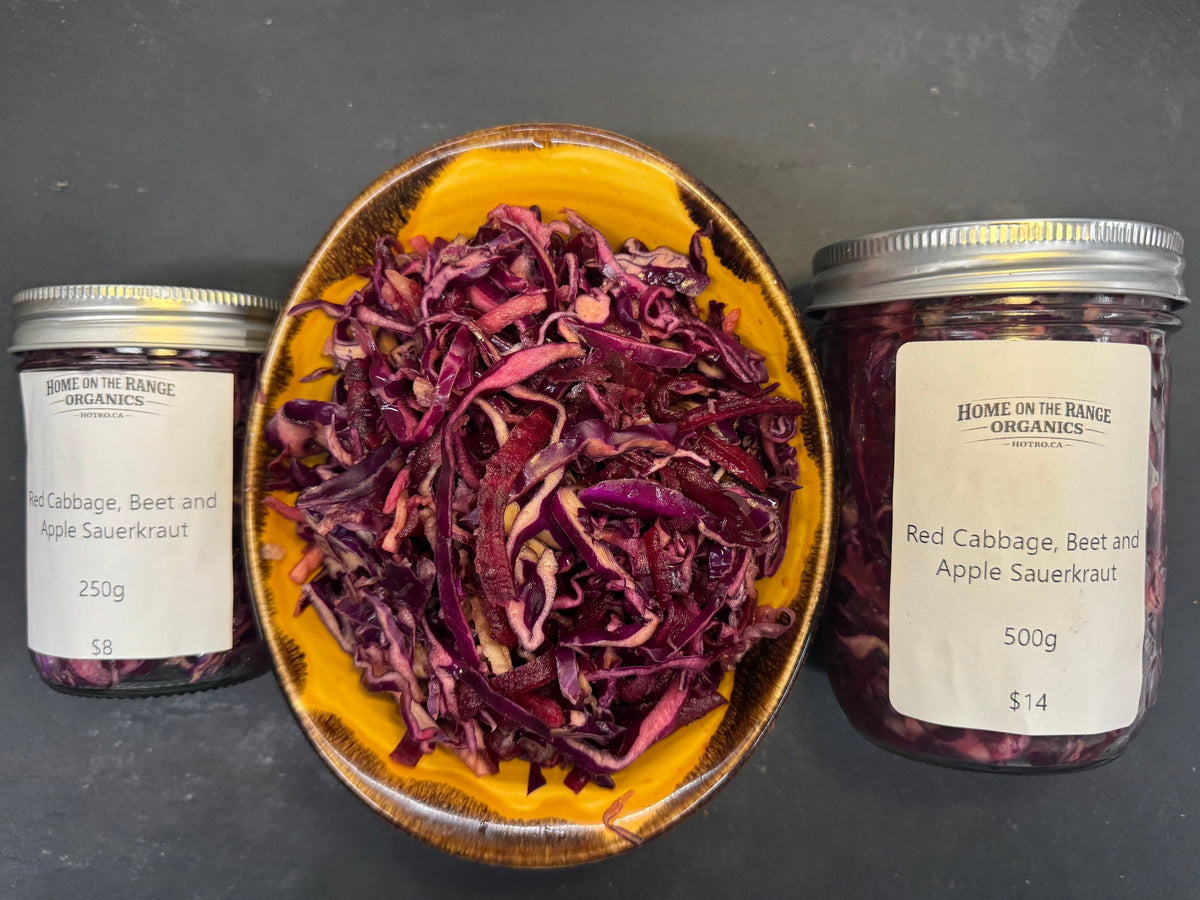 Three glass jars of dried red cabbage and beet powder arranged around a yellow bowl filled with shredded dried red cabbage on a dark gray surface. The labels read Home on the Range Organics Ltd. and 'Red Cabbage Beet and Apple Sauerkraut'.