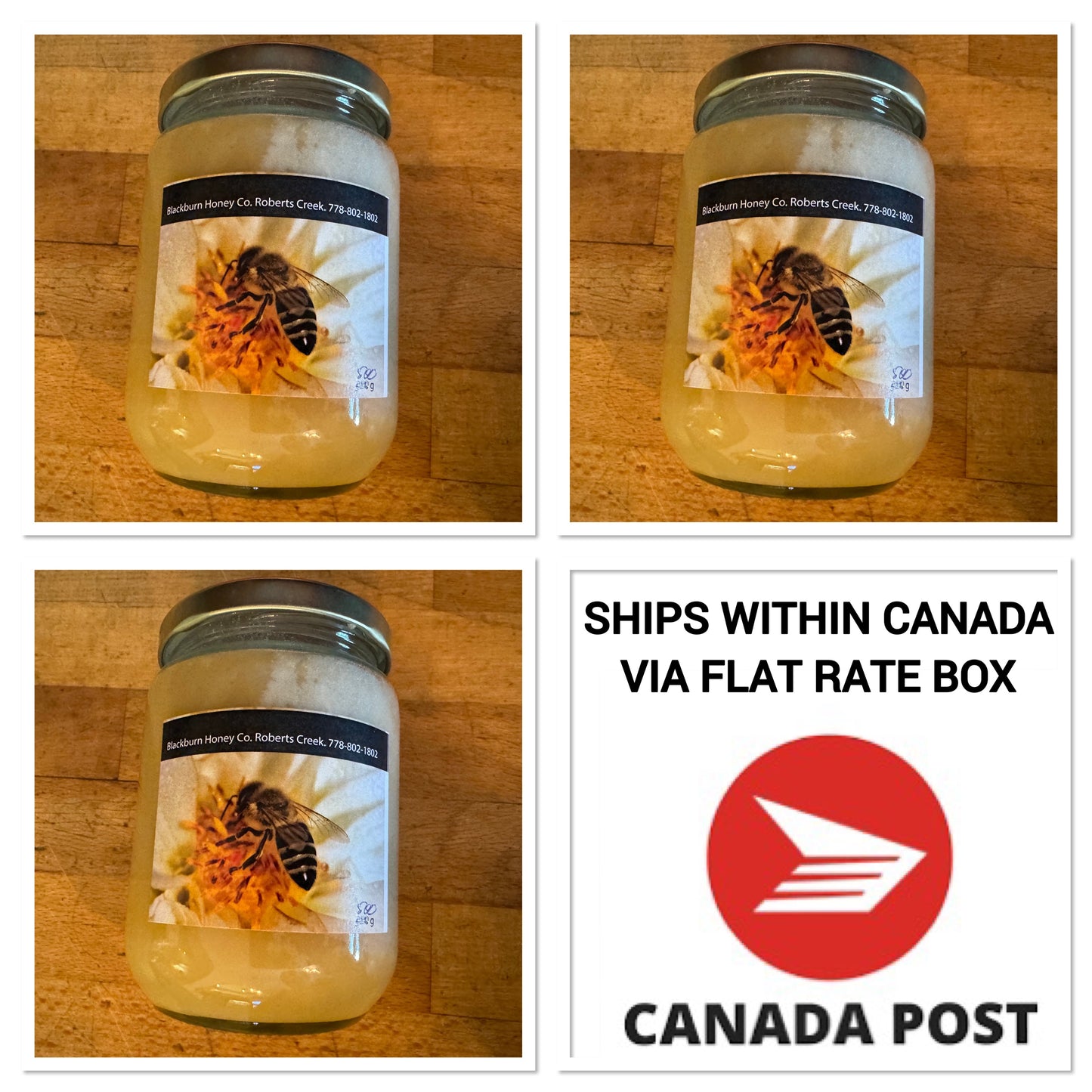 BC Blackburn Wildflower Honey + Canada Postage