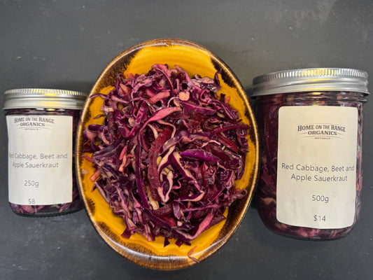 Three glass jars of dried red cabbage and beet powder arranged around a yellow bowl filled with shredded dried red cabbage on a dark gray surface. The labels read Home on the Range Organics Ltd. and 'Red Cabbage Beet and Apple Sauerkraut'.