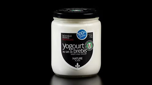 Yogourt de Brebis — Plain Sheep's Milk Yogurt 475g